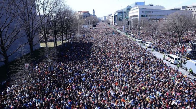 Cientos de miles se movilizaron para exigir control sobre las armas