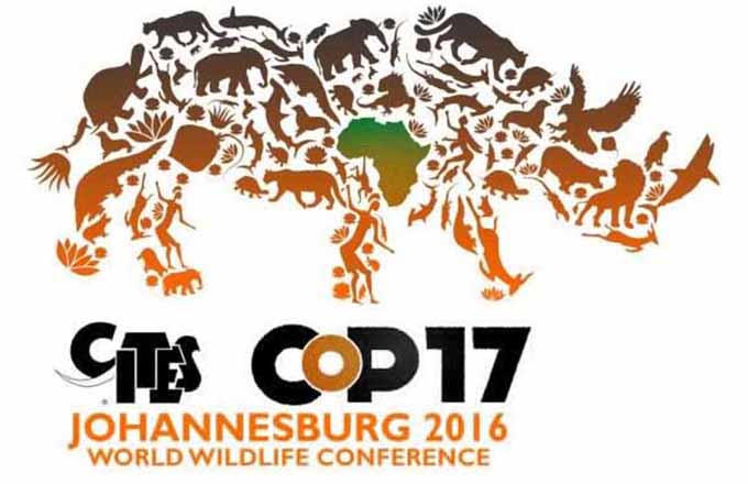 COP 17 en Sudáfrica