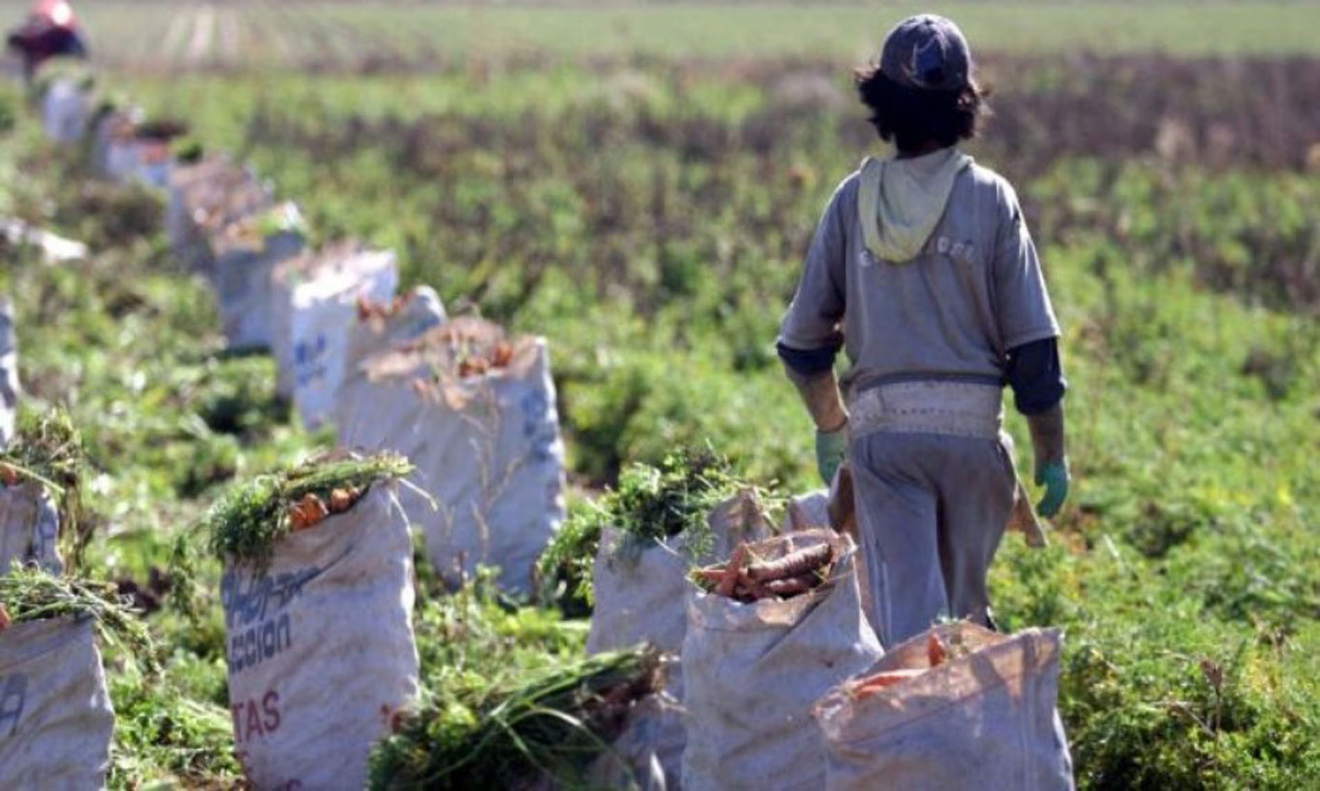 El trabajo infantil alcanza a uno de cada diez niños y niñas en el país