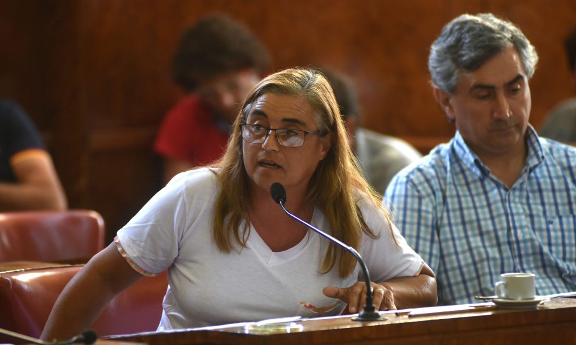 “Ir contra el Concejo Deliberante es un intento político calculado de Arroyo”